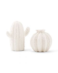 Novelty Cactus Salt & Pepper Shakers