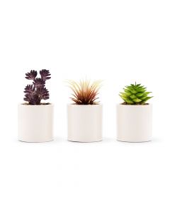 Small Faux Succulent Plants - Set Of 6