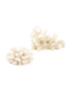 Coral Card Holders (pkgs of 8)